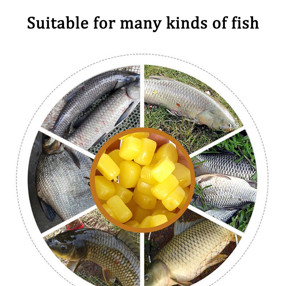 100pcs ซิลิโคนข้าวโพดกลิ่นเหยื - Fishing Lure Topwater บทวิจารณ์และราคา